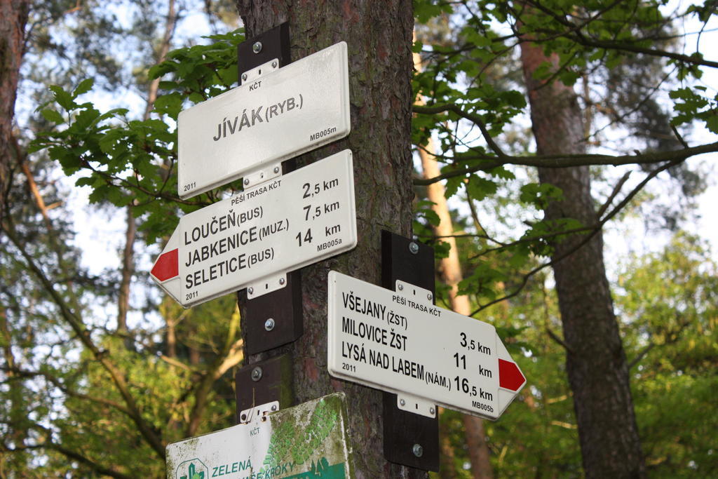 Lovecky Hotel Jivak Loučeň Exteriör bild